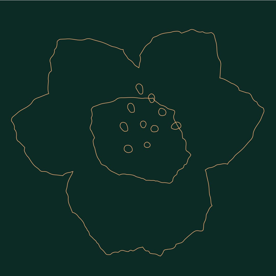 Oakridge Park - Generic Flower.jpg